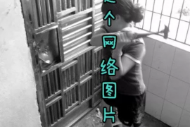 儋州贷款清欠服务