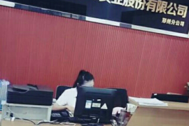 儋州融资清欠服务